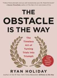 "The Obstacle Is the Way" by Ryan Holiday: