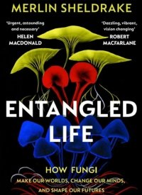 "Entangled Life: How Fungi Make Our Worlds, Change Our Minds & Shape Our Futures" by Merlin Sheldrake